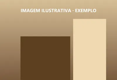 Imagem ilustrativa (exemplo)